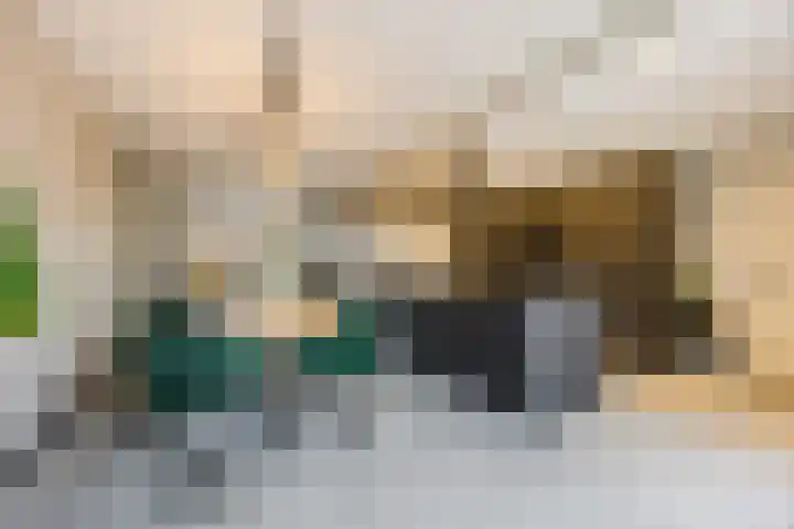 Bellefleur 26 Uden thumbnail 14