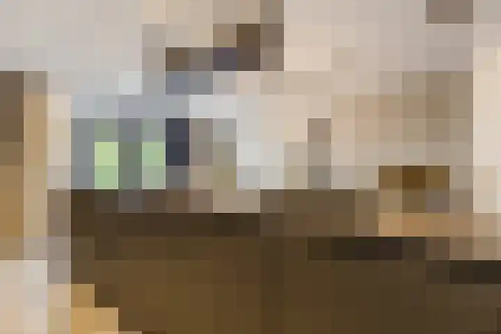 Bellefleur 26 Uden thumbnail 16