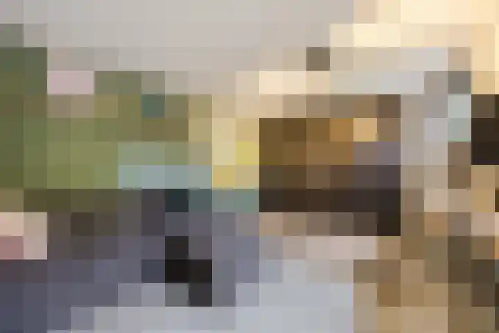 Bellefleur 26 Uden thumbnail 18