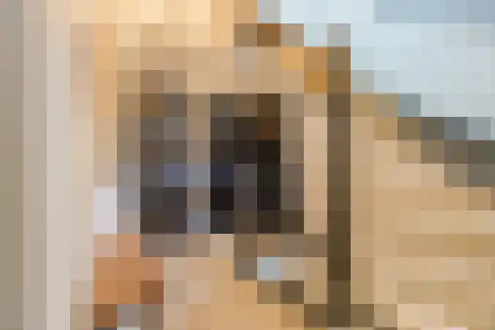 Bellefleur 26 Uden thumbnail 22