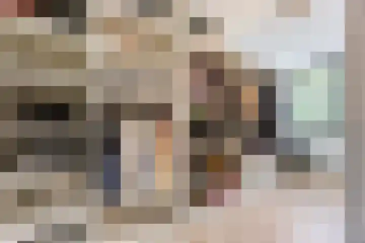 Bellefleur 26 Uden thumbnail 27