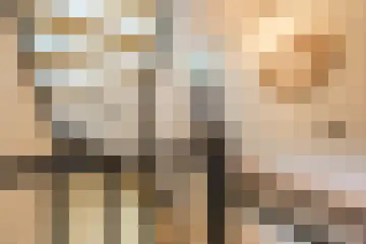 Bellefleur 26 Uden thumbnail 31