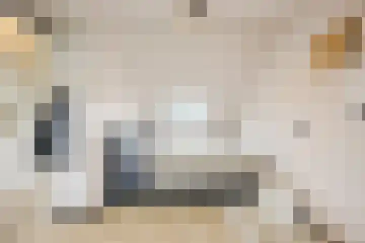 Bellefleur 26 Uden thumbnail 33