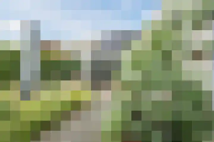 Bellefleur 26 Uden thumbnail 42