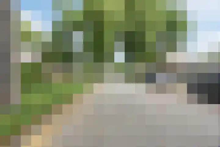 Bellefleur 26 Uden thumbnail 46