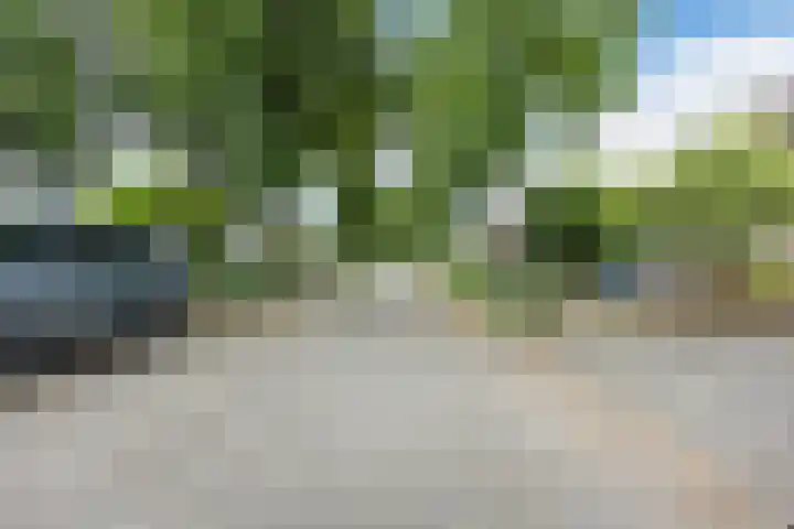 Bellefleur 26 Uden thumbnail 47