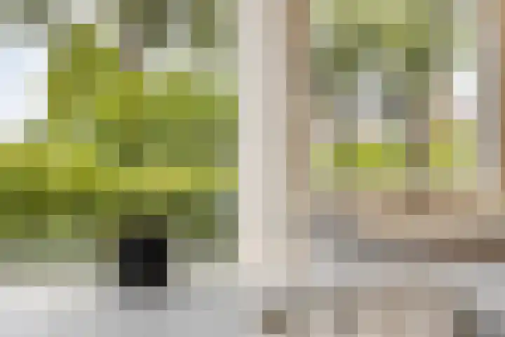 Bellefleur 39 Duiven thumbnail 10