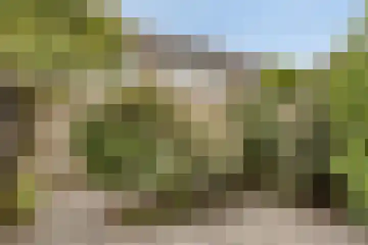 Bellefleur 39 Duiven thumbnail 32