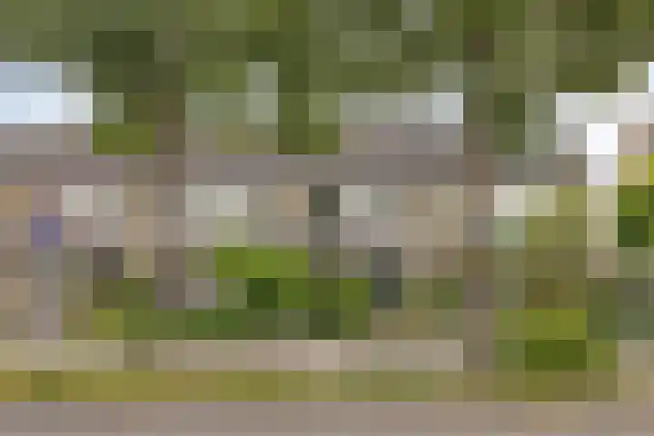 Bellefleur 39 Duiven thumbnail 39