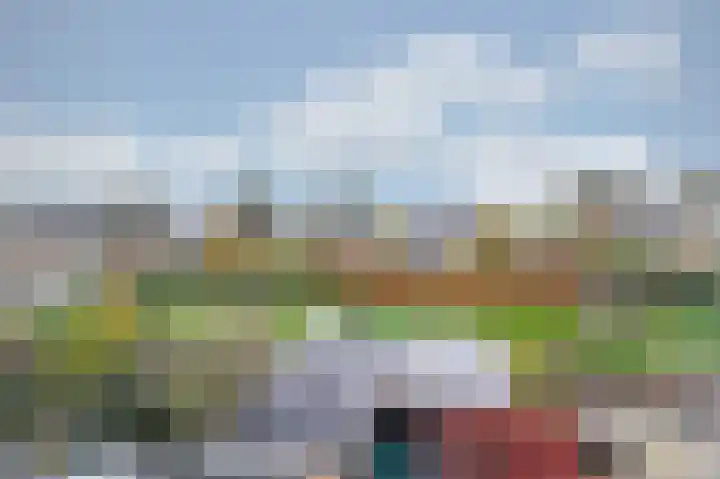 Bellefleur 41 Duiven thumbnail 39