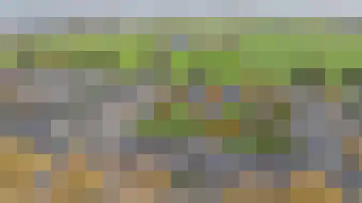 Bellefleur 41 Duiven thumbnail 5