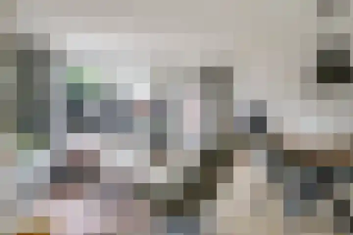 Bellefleur 54 Zetten thumbnail 10