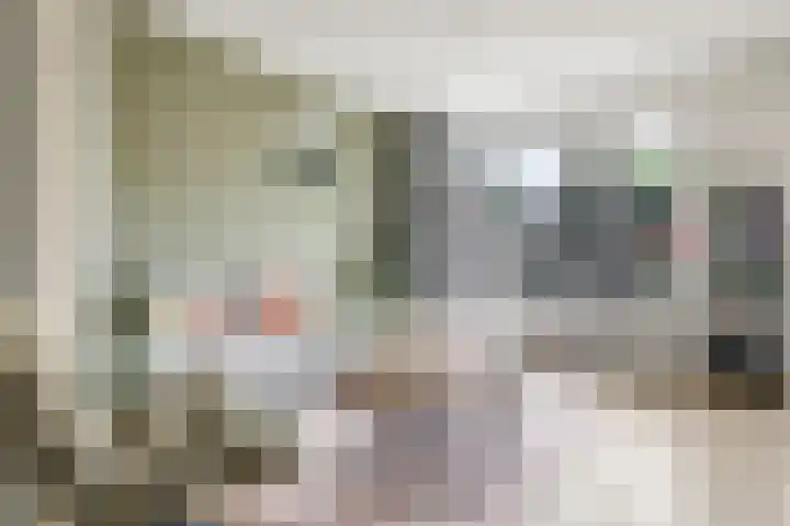 Bellefleur 54 Zetten thumbnail 12