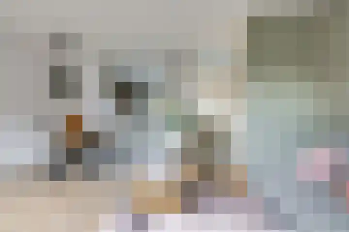 Bellefleur 54 Zetten thumbnail 14