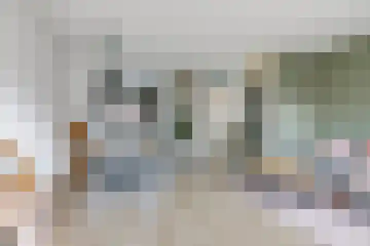 Bellefleur 54 Zetten thumbnail 15