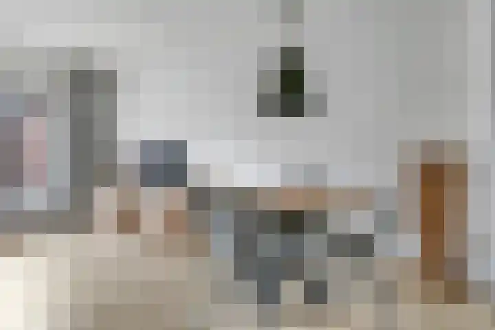 Bellefleur 54 Zetten thumbnail 17