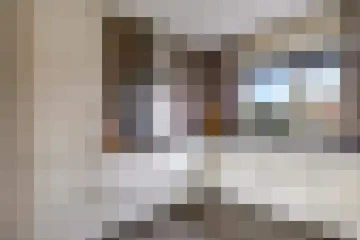 Bellefleur 54 Zetten thumbnail 20