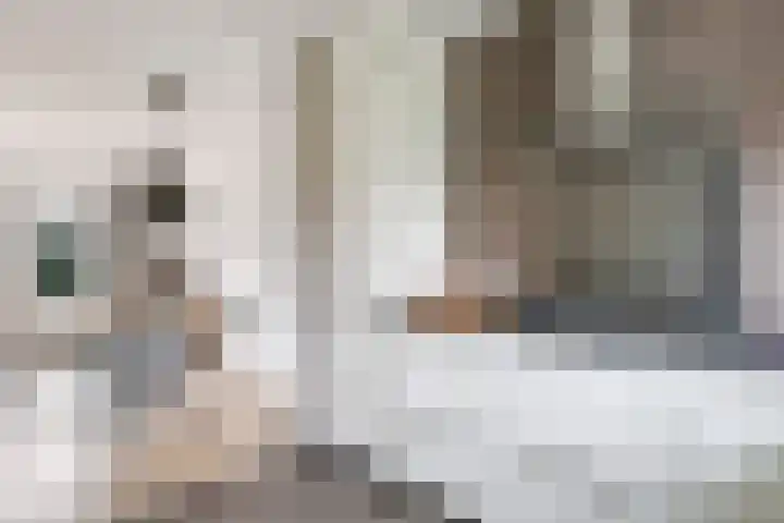 Bellefleur 54 Zetten thumbnail 24