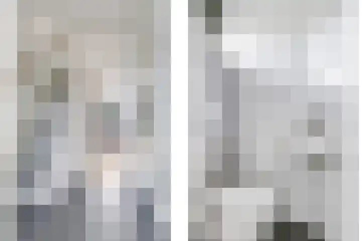 Bellefleur 54 Zetten thumbnail 25