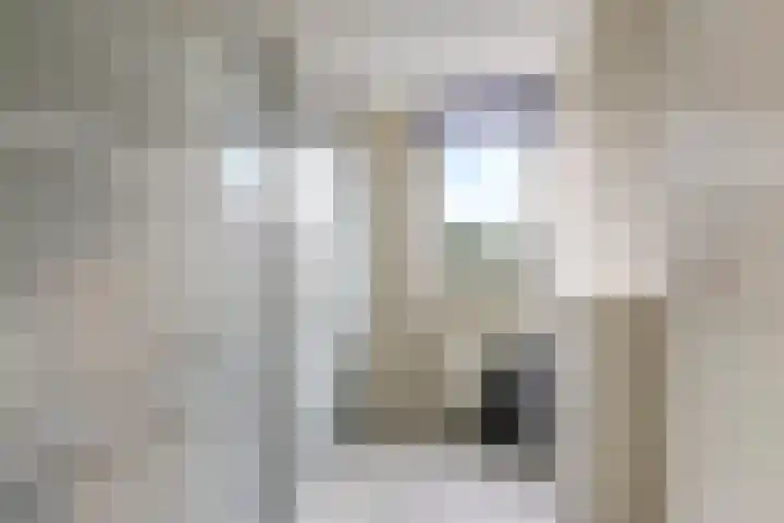 Bellefleur 54 Zetten thumbnail 34