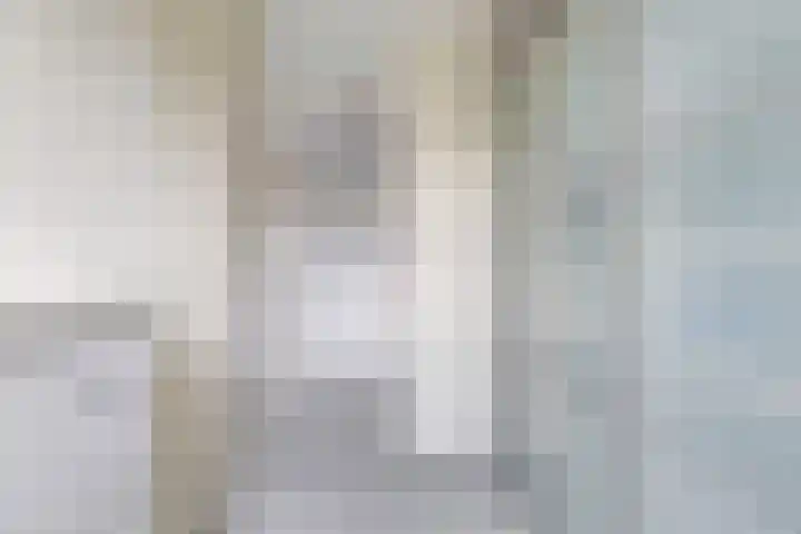 Bellefleur 54 Zetten thumbnail 35