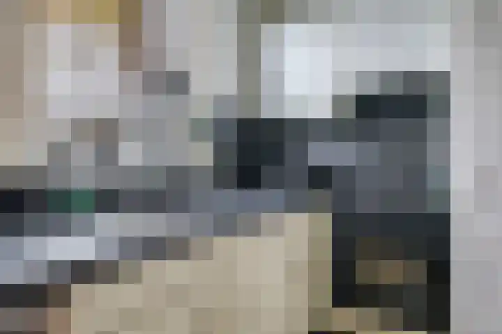 Bellefleur 60 Zetten thumbnail 25