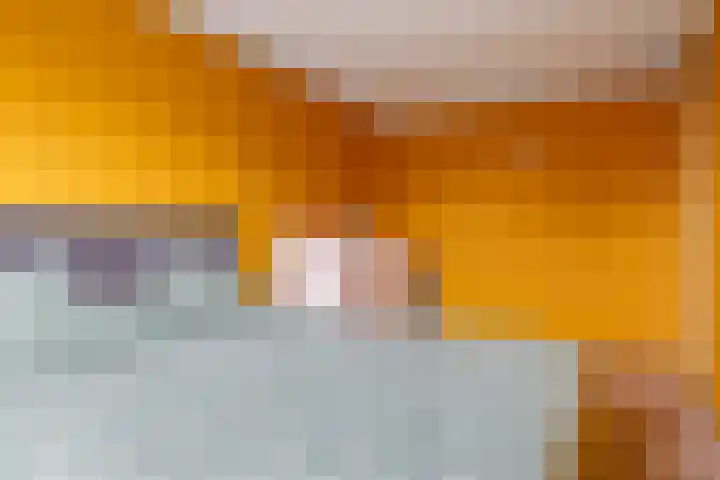 Bellefleur 60 Zetten thumbnail 32