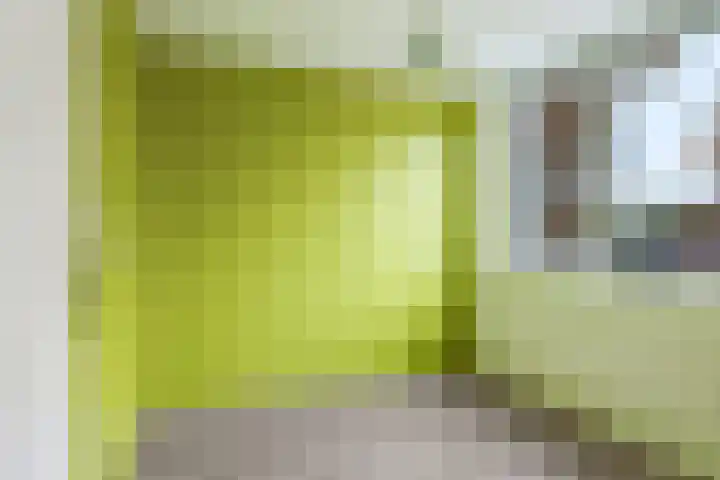 Bellefleur 60 Zetten thumbnail 38