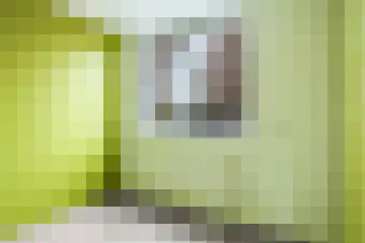 Bellefleur 60 Zetten thumbnail 39