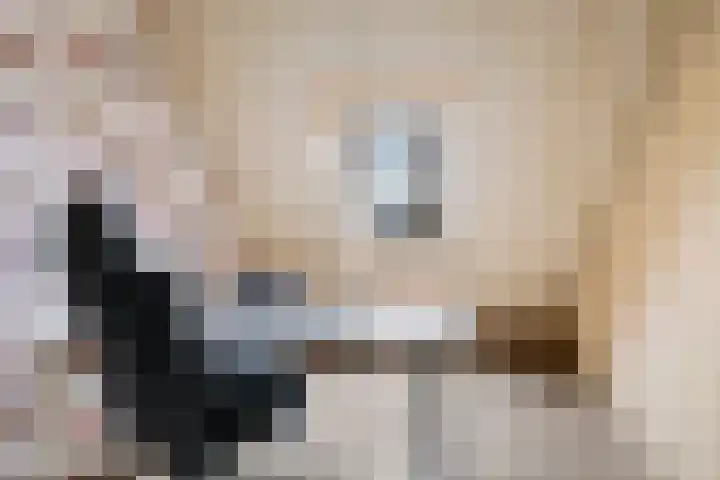 Bellefleur 60 Zetten thumbnail 43