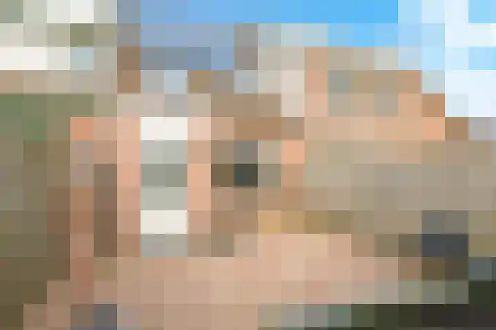 Bellefleur 60 Zetten thumbnail 57