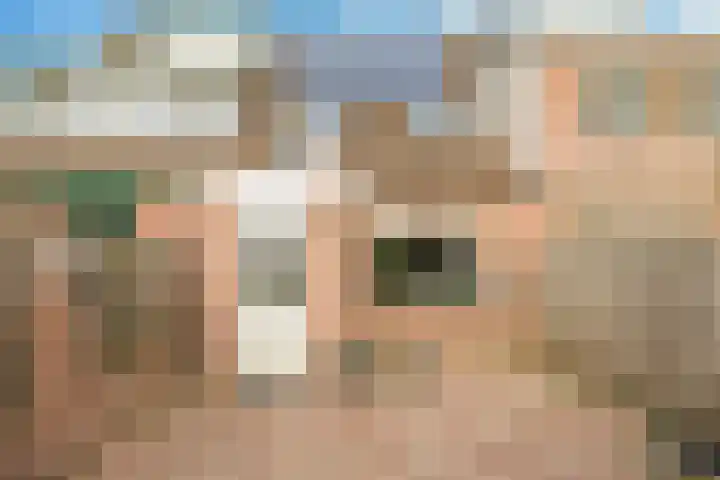 Bellefleur 60 Zetten thumbnail 58