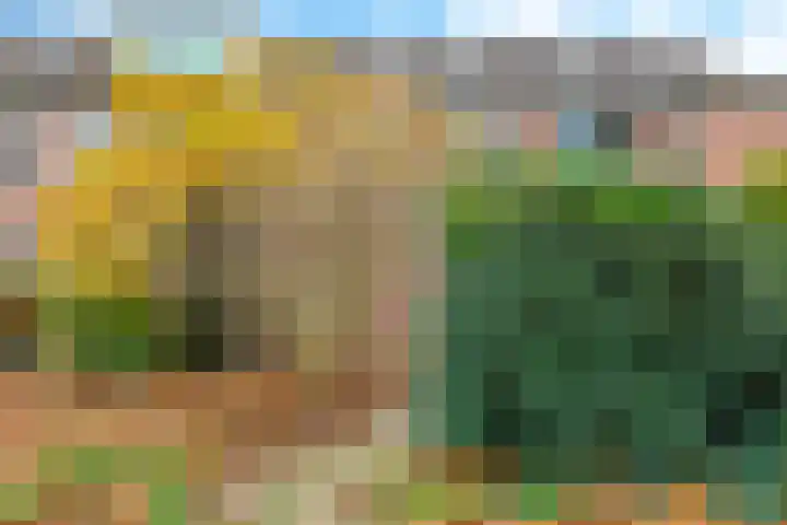 Bellefleur 60 Zetten thumbnail 59