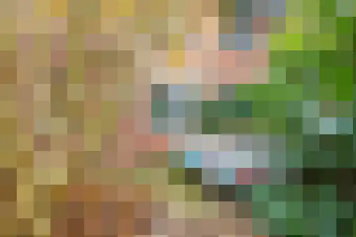 Bellefleur 60 Zetten thumbnail 60