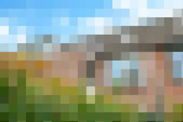 Bellefleur 60 Zetten thumbnail 61