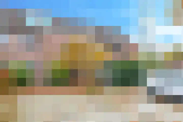 Bellefleur 60 Zetten thumbnail 62