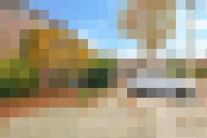 Bellefleur 60 Zetten thumbnail 63
