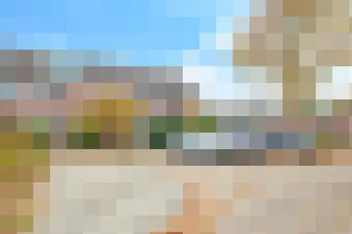Bellefleur 60 Zetten thumbnail 64