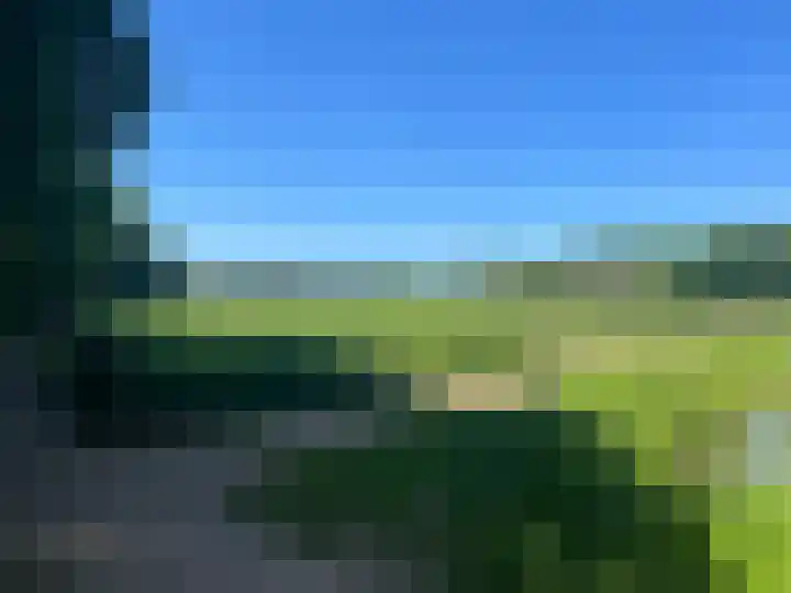 Bellefleur 60 Zetten thumbnail 70