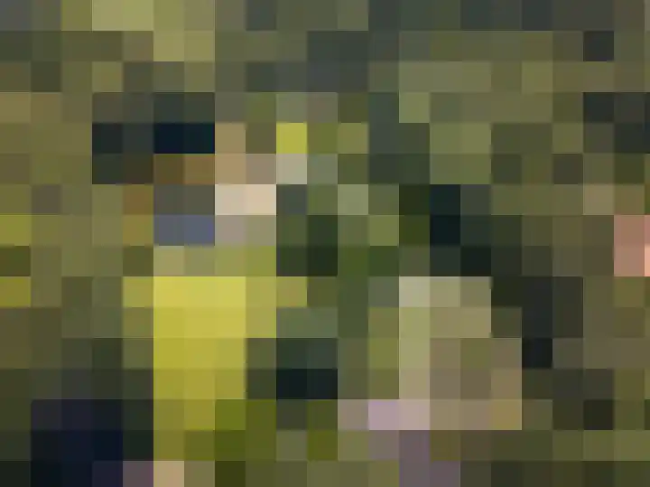 Bellefleur 60 Zetten thumbnail 76