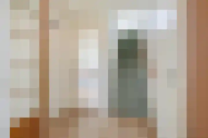 Bellefleur 68 Duiven thumbnail 11