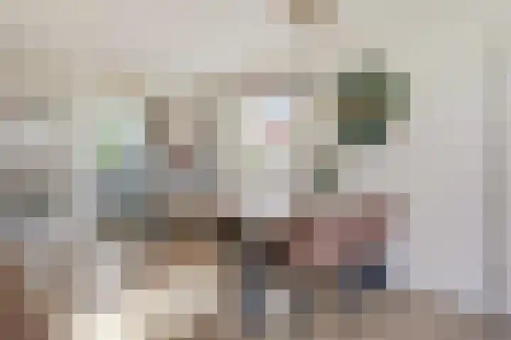 Bellefleur 68 Duiven thumbnail 4