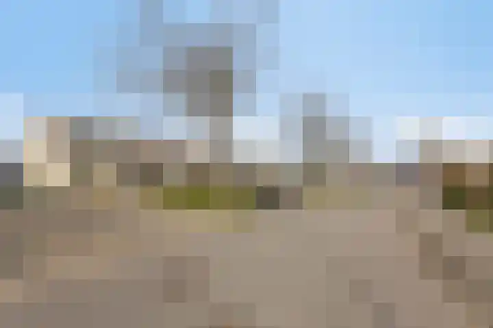 Bellefleur 68 Duiven thumbnail 63