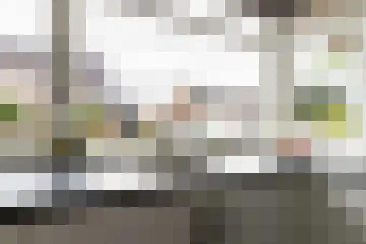 Bellefleur 7 Andel thumbnail 10