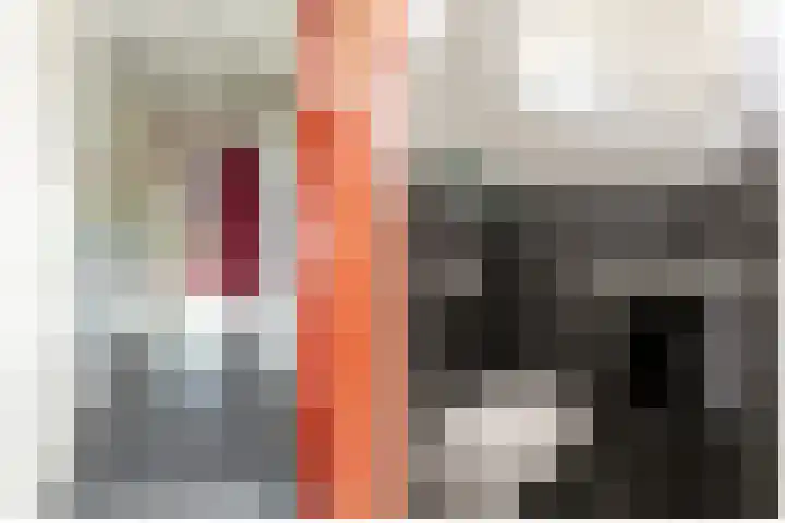 Bellefleur 7 Andel thumbnail 12