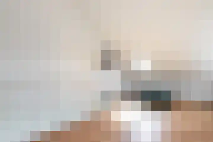Bellefleur 7 Andel thumbnail 26