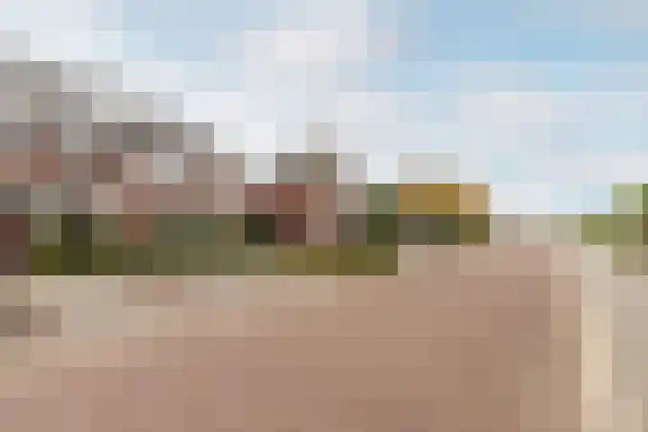 Bellefleur 7 Andel thumbnail 37