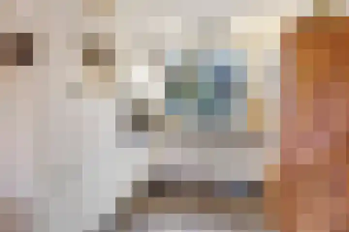 Bellefleur 7 Zetten thumbnail 27