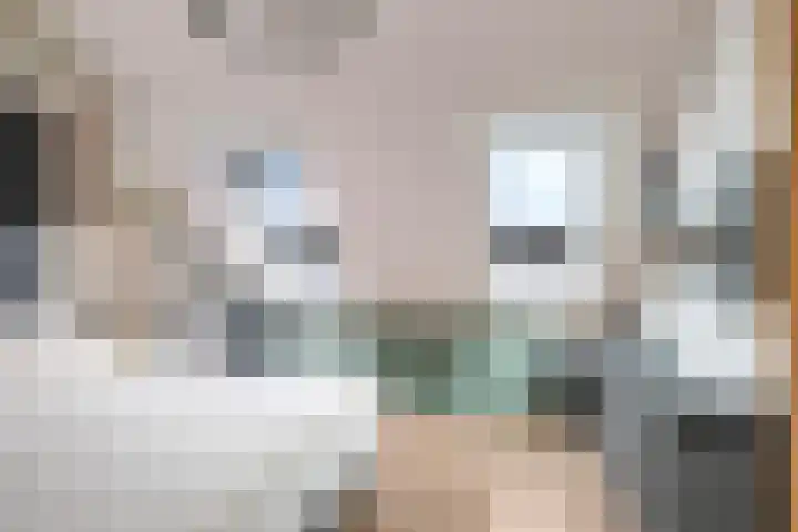 Bellefleur 7 Zetten thumbnail 50