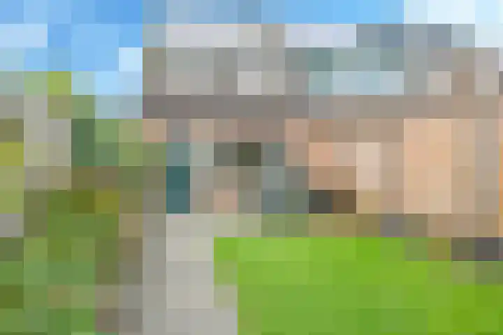 Bellefleur 7 Zetten thumbnail 52